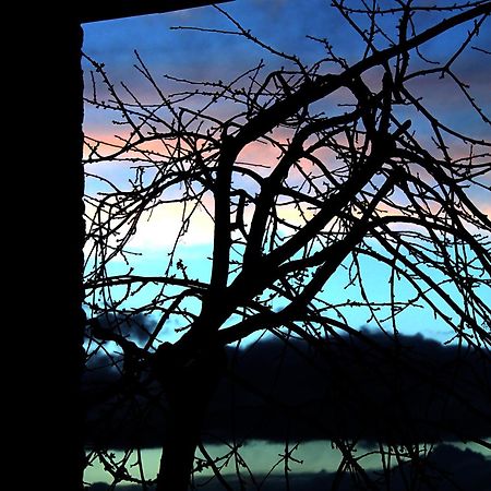 Podere Di Belforte Bagno a Ripoli Zewnętrze zdjęcie