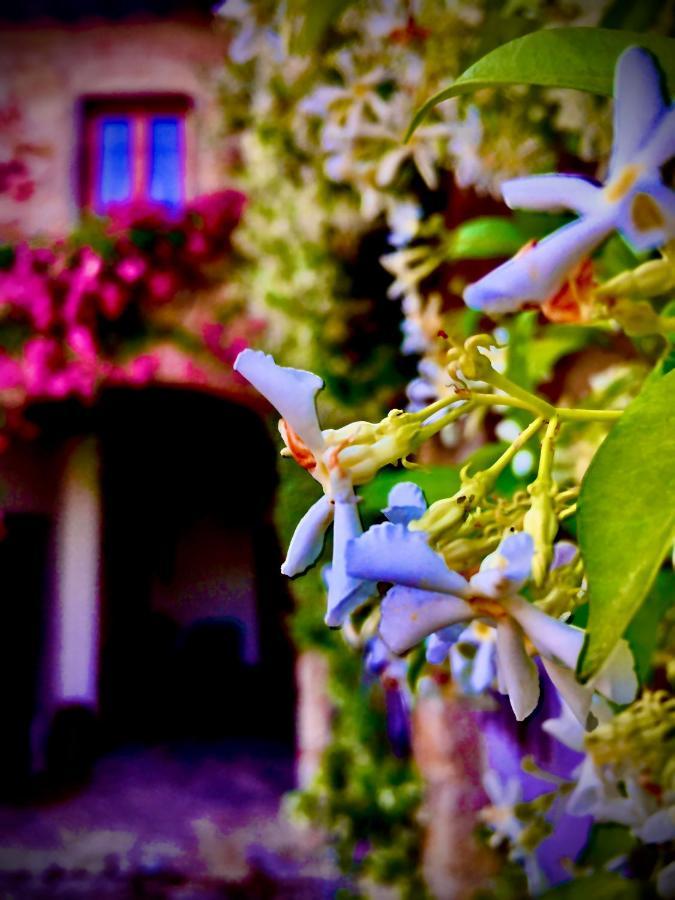 Podere Di Belforte Bagno a Ripoli Zewnętrze zdjęcie