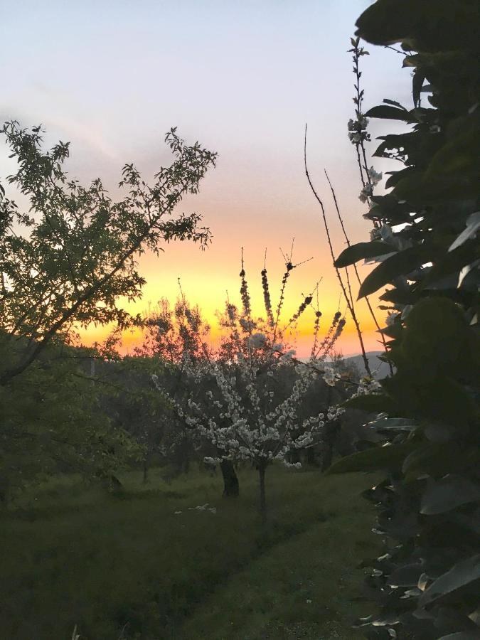Podere Di Belforte Bagno a Ripoli Zewnętrze zdjęcie