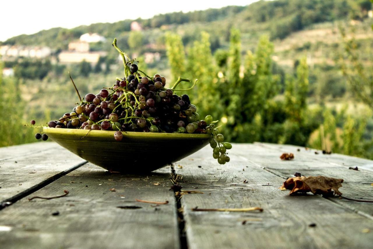 Podere Di Belforte Bagno a Ripoli Zewnętrze zdjęcie